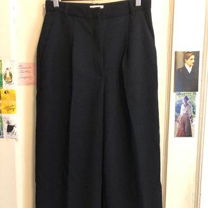 wilfred free (Aritzia) wide leg pants